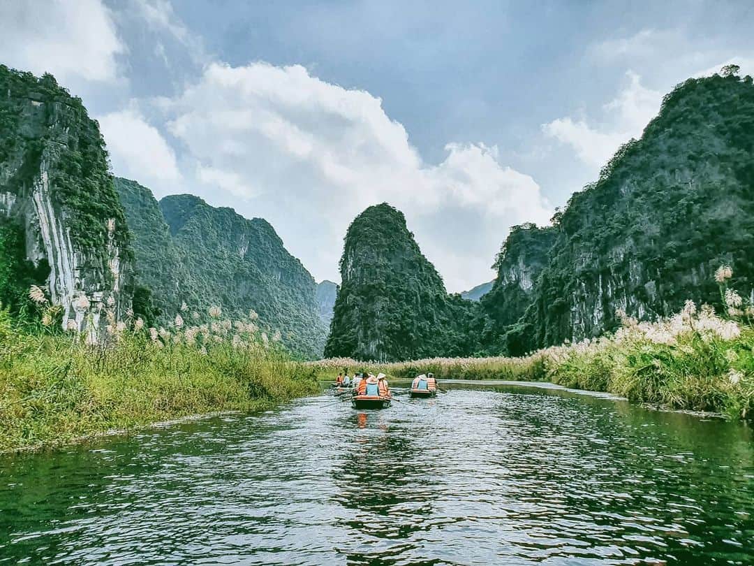 Sông Ngô Đồng mùa lau thật thơ mộng và yên bình